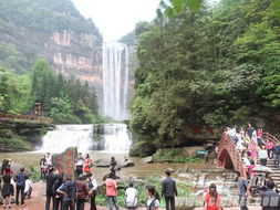 三八 節人氣旺 四面山提前迎來旅游旺季