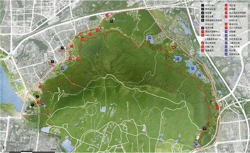 2021年南京規(guī)劃來了 過江通道 新建景區(qū)還有一大批學(xué)校...