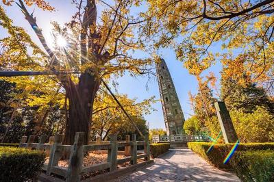 逃跑計劃重啟,去這7大吸氧勝地打開賞春模式