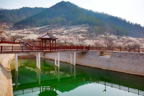 全域發(fā)力精準(zhǔn)治理 城陽(yáng)探索農(nóng)村人居環(huán)境整治提升新路徑鳳凰網(wǎng)青島