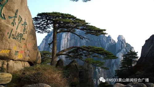 我市出臺景區有序開放工作指南