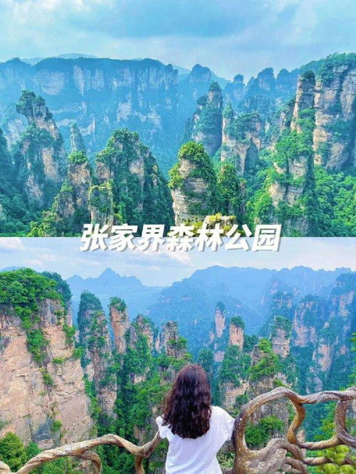 張家界四天旅游多少錢,張家界旅行社4日游價格,省錢避坑攻略