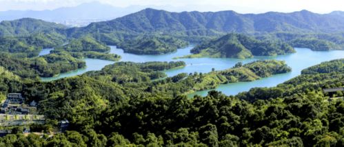 節(jié)后上班第一天,放假通知來了 惠州紅花湖景區(qū)明天起恢復開園