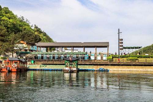 離武漢1小時車程,山水索道峽谷,游船滑草木屋,周末游正當(dāng)時