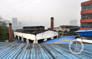 北濱路江陵廠老廠區 主城新晉網紅景點的蛻變與園區管理服務創新