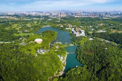 草地露營、國潮音樂節(jié)、少兒音樂匯 南京珍珠泉度假區(qū)假期精彩紛呈，盡顯卓越園區(qū)管理服務