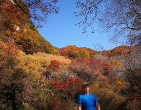 2019平山駝梁風景區(qū)游玩全攻略 門票價格、游覽路線、地址與服務詳解